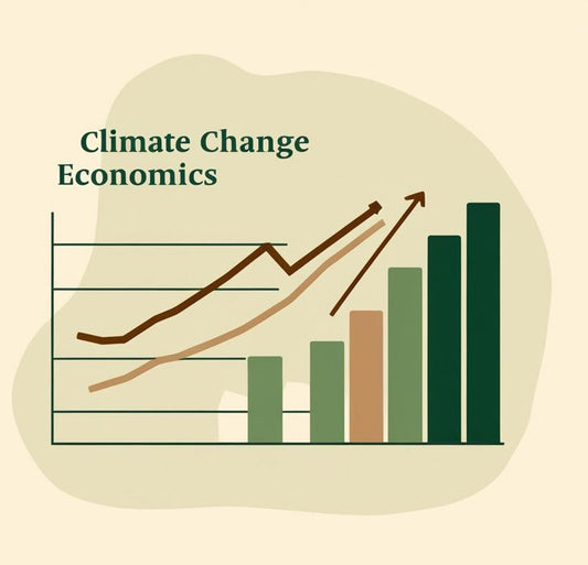 climate change economics finance